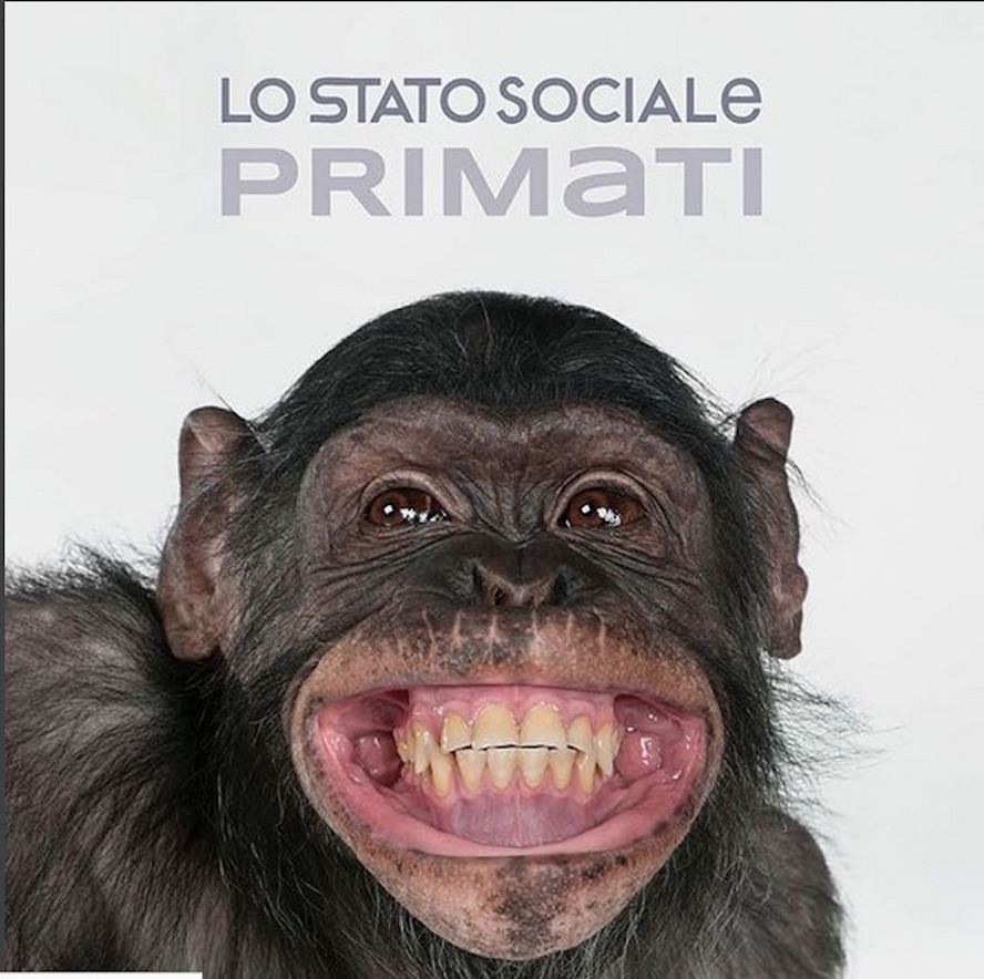 PRIMATI_-_COVER.jpeg