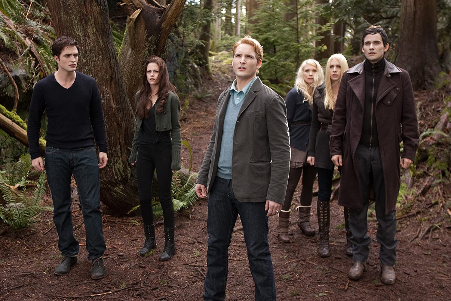 film-the-twilight-saga-twilight-saga--le-possibilita-del-sequel-del-film-trama-cast-quando-esce-notizie-streaming-netflix-googleplay2.jpg
