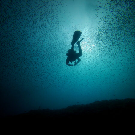 WWF - mostra fotografica 'Mediterraneo, un mare da scoprire' - immagini