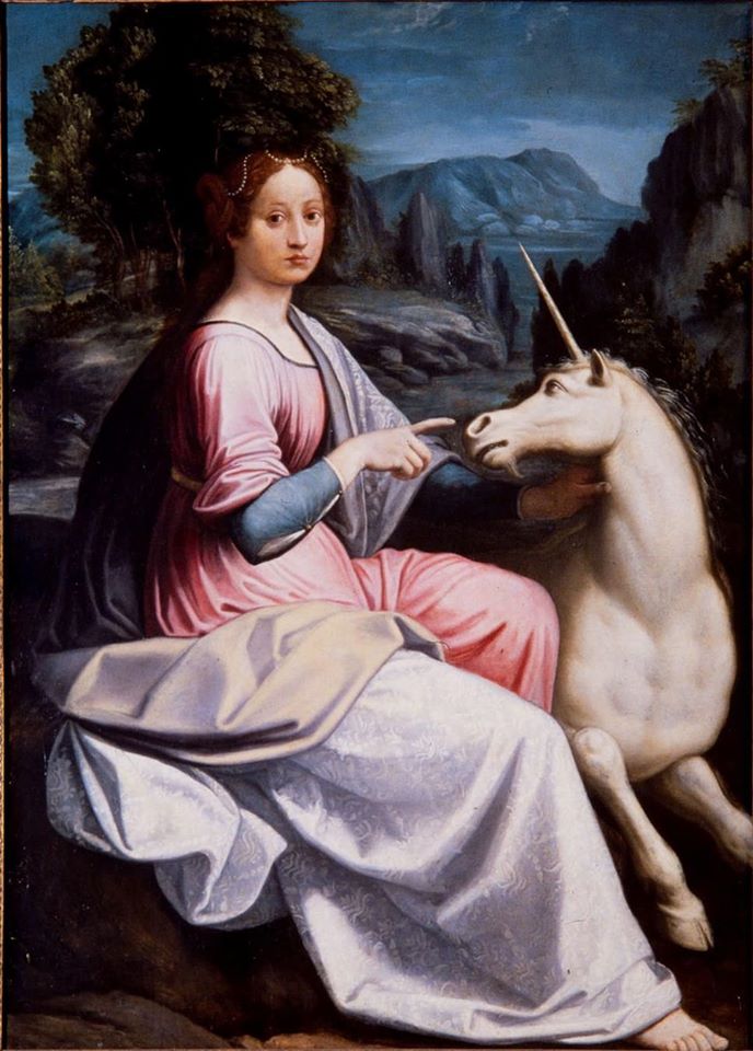 l-unicorno--cosa-simboleggia-l-animale-che-potrebbe-esistere-davvero---immagini-unicorno-3.jpeg