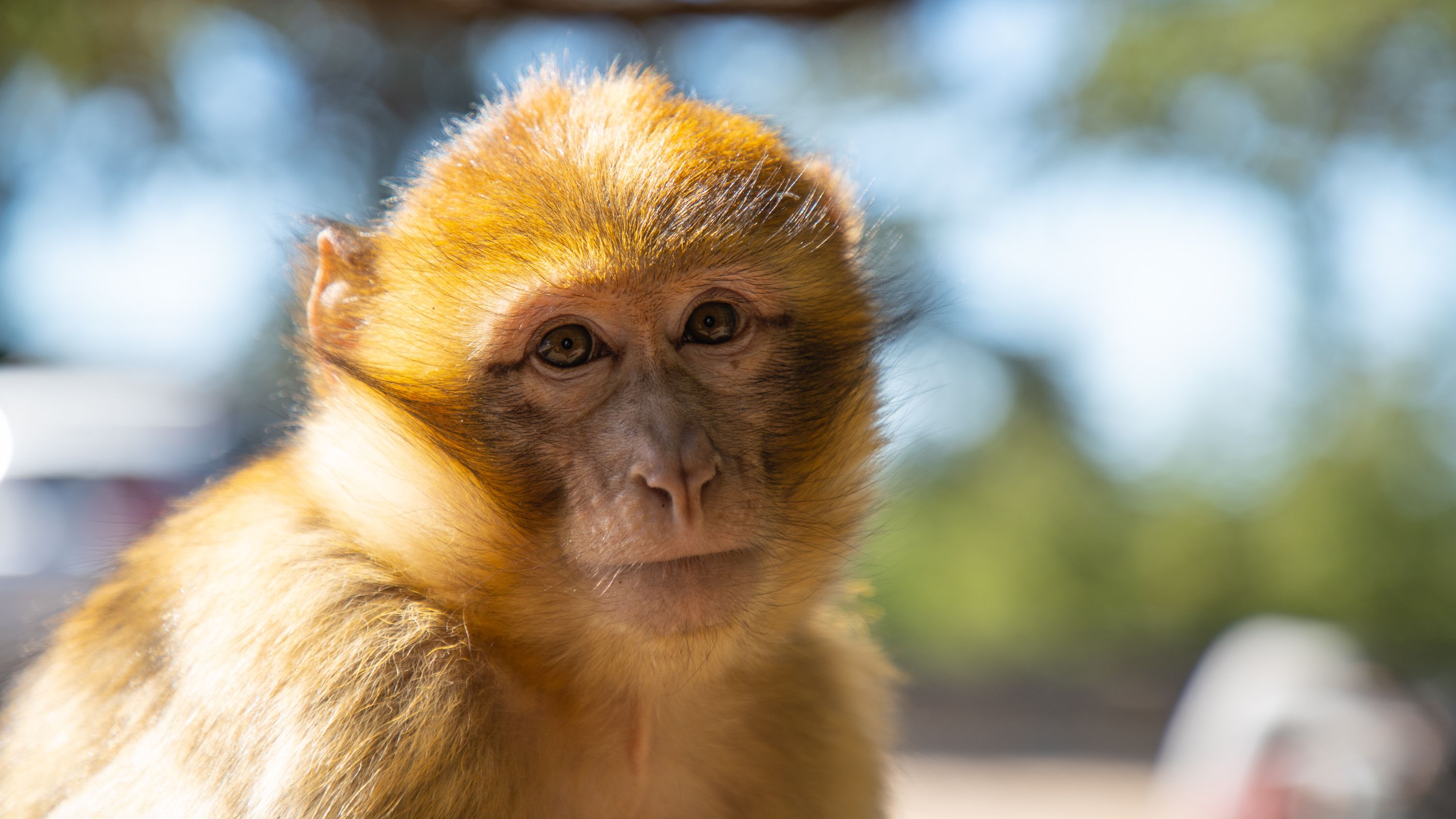 National Geographic - Africa: meraviglie nascoste