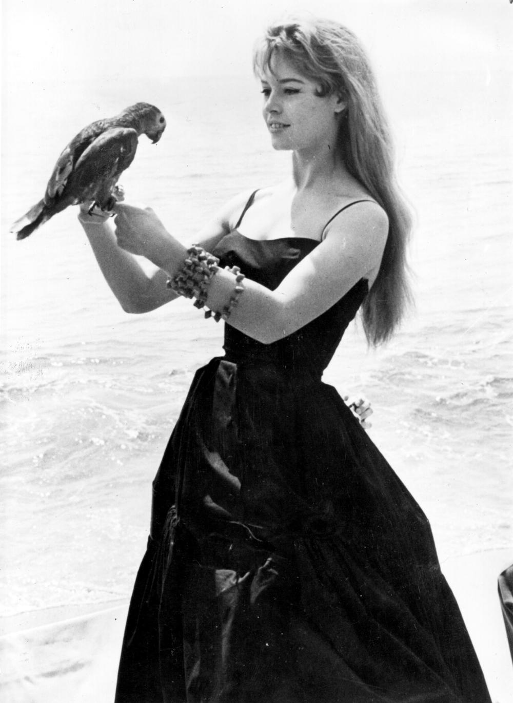 nuovo-film-su-brigitte-bardot-_Brigitte_Bardon,_Eterna_Ribelle,_è_il_documentario_in_prima_visione_(1).jpg