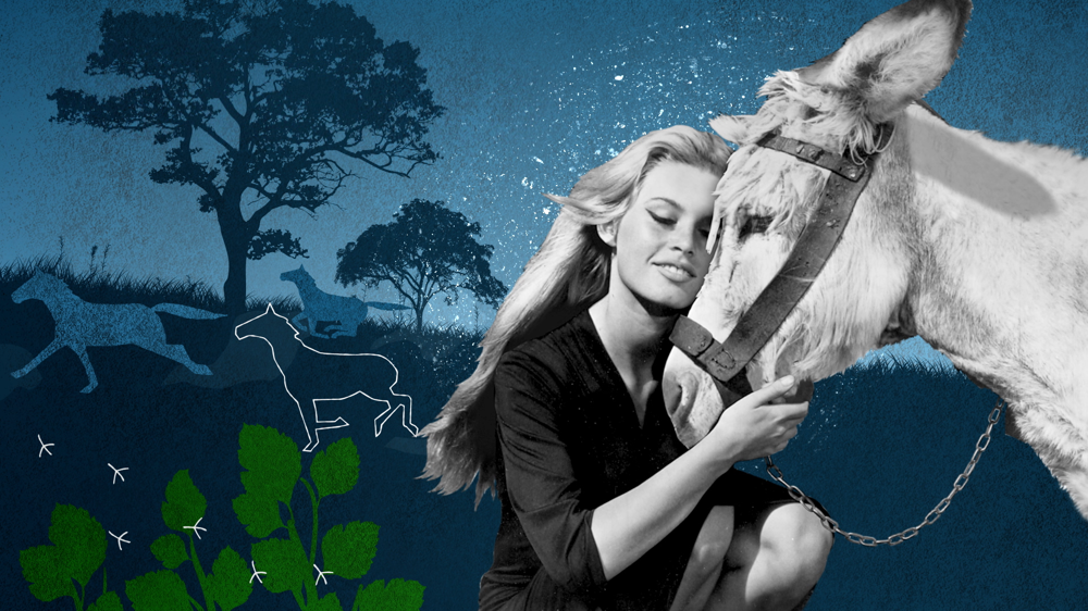 nuovo-film-su-brigitte-bardot-_Brigitte_Bardon,_Eterna_Ribelle,_è_il_documentario_in_prima_visione_(3).png