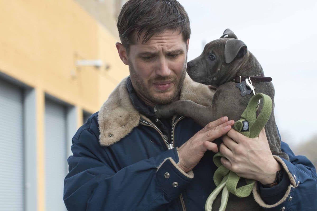 Tom Hardy, l'anima bivalente nel film Chi è senza colpa