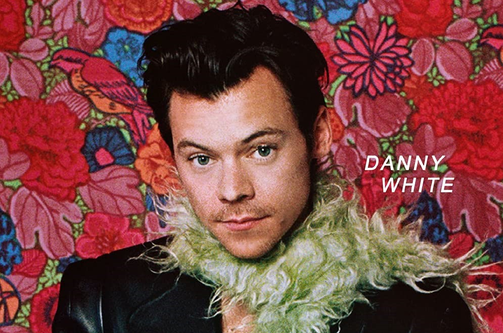 In libreria Harry Styles Dietro le quinte del mito 100% unofficial di Danny White