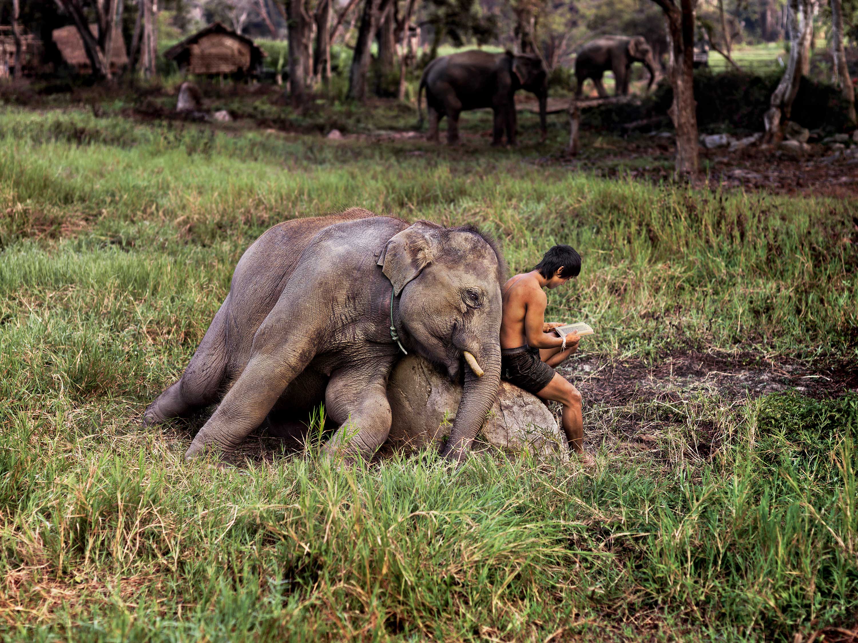 Mostra Bari - Steve McCurry, Leggere - immagini