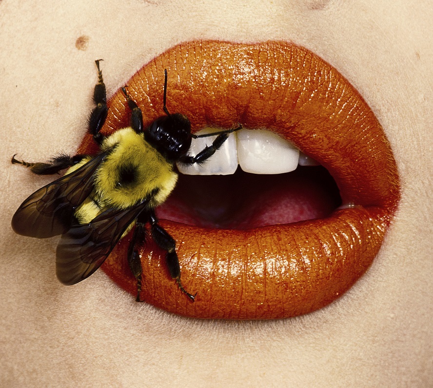 Mostra Milano - Irving Penn - immagini