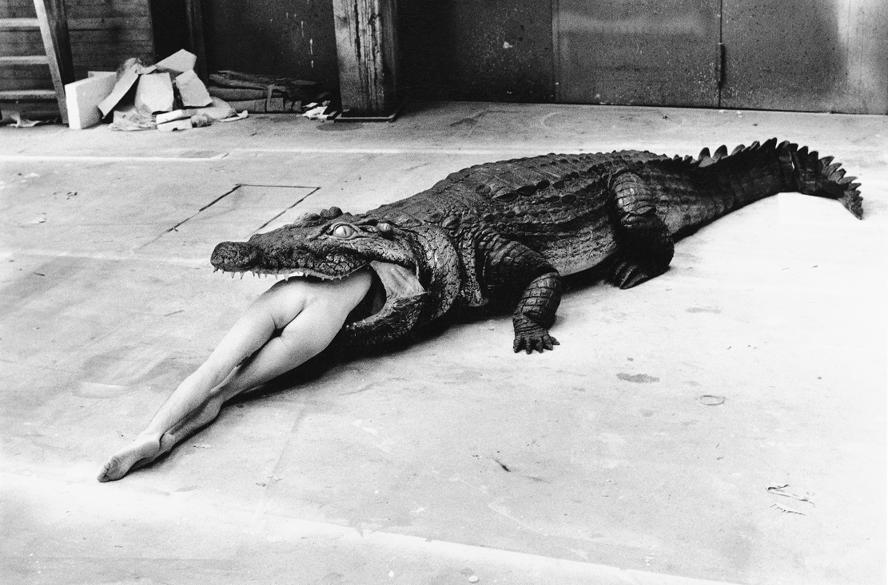 Film Helmut Newton: The Bad and the Beautiful  - immagini