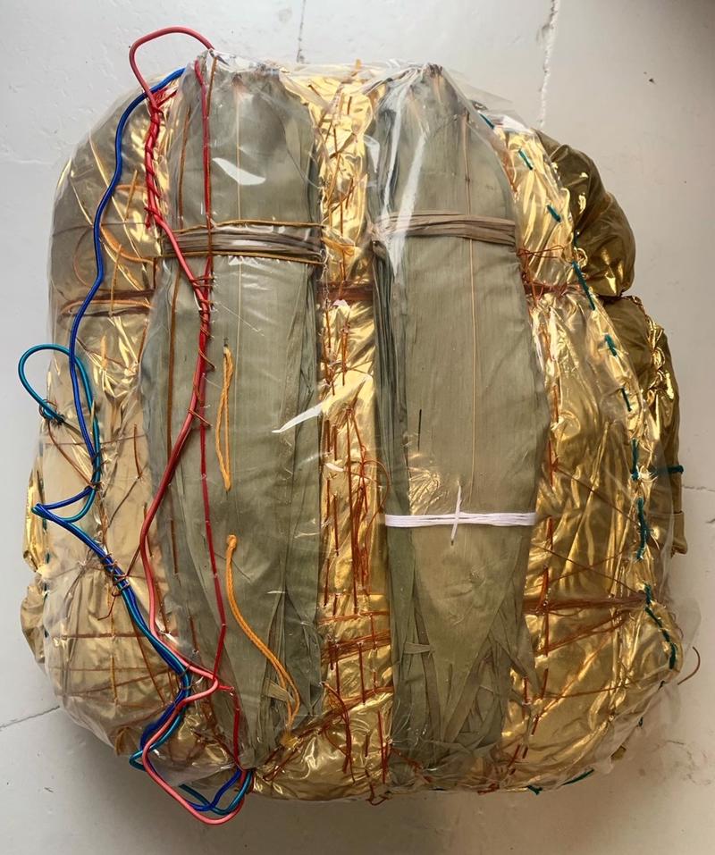 mostra--novara---technology--world-–-nature-di-thomas-de-falco---immagini-Thomas_De_Falco,_Seme,_2021._Scultura_tessile_con_plastica_in_oro,_80x70_cm.jpeg