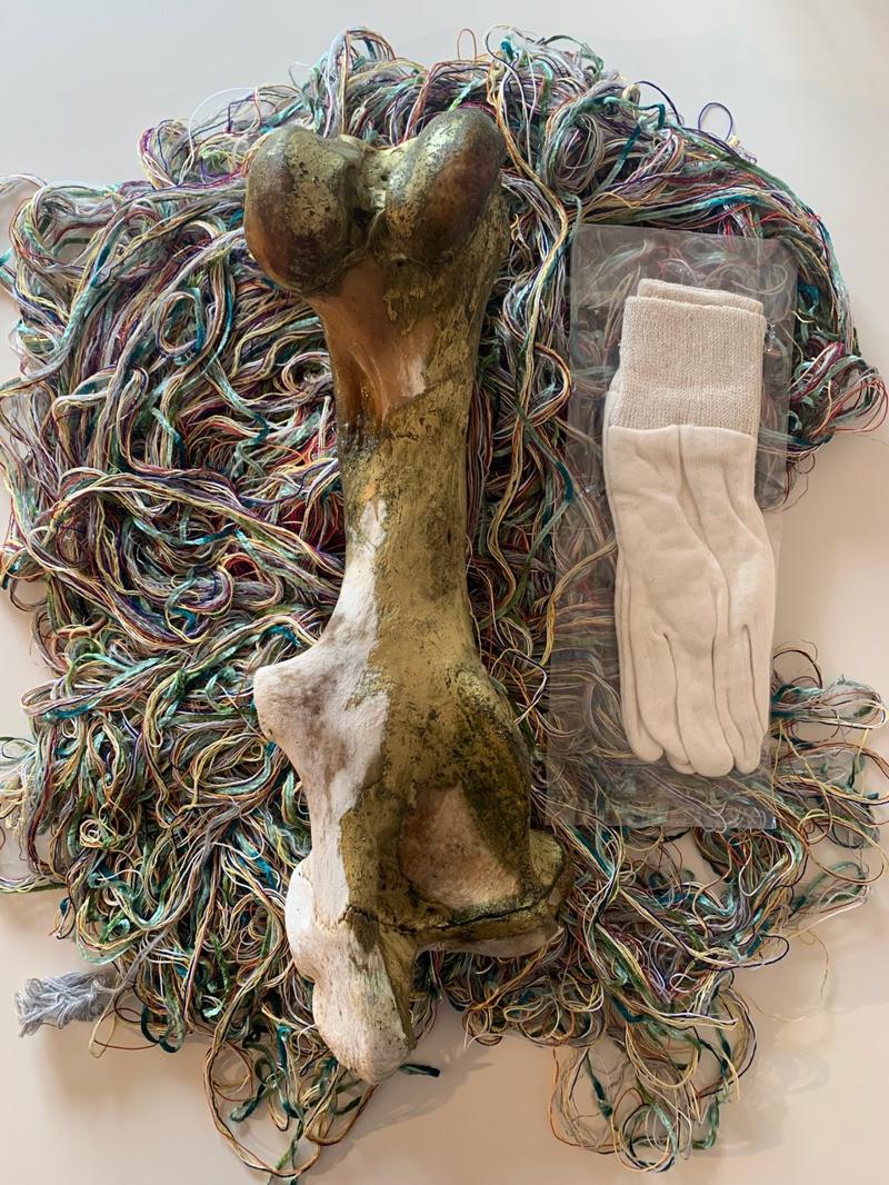 mostra--novara---technology--world-–-nature-di-thomas-de-falco---immagini-Thomas_De_Falco,_Technology_W,_2021._Osso_equino_con_lana,_seta,_cotone_e_guanti_in_garza,_50x50_cm.jpeg