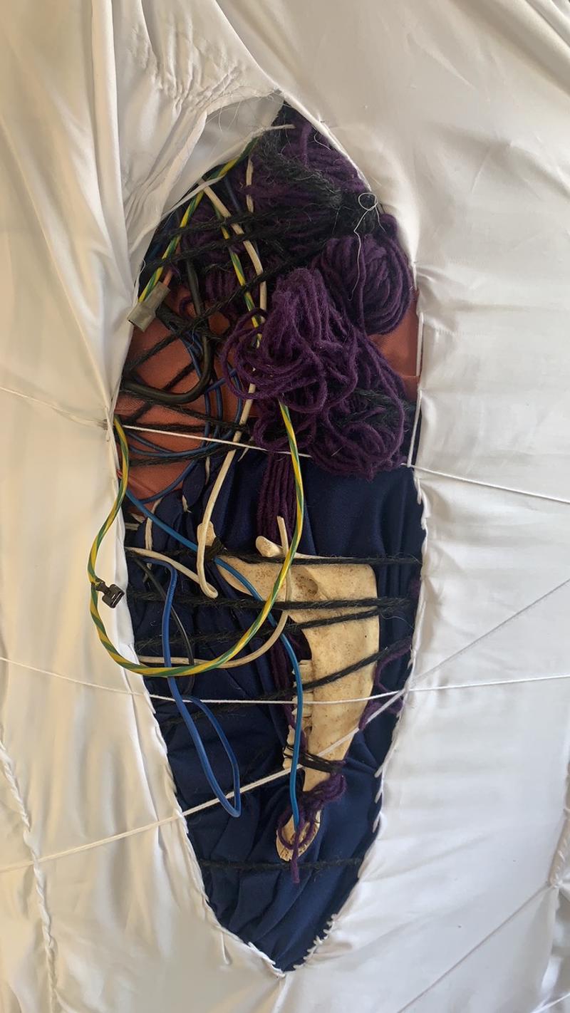 mostra--novara---technology--world-–-nature-di-thomas-de-falco---immagini-Thomas_De_Falco,_The_world,_2021._Scultura_tessile_con_cuciture_a_vista,_cavi_elettrici_e_ossa,_233x129_cm_(dettaglio).jpeg