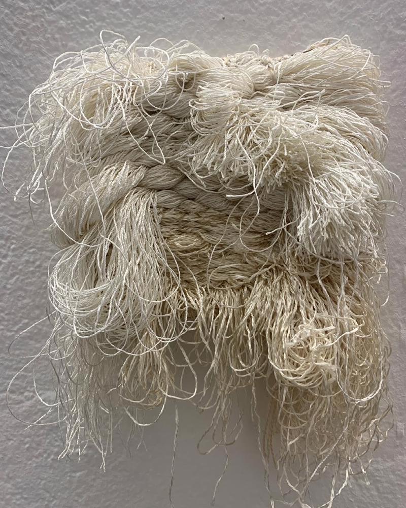 mostra--novara---technology--world-–-nature-di-thomas-de-falco---immagini-mostra--novara---technology--world-–-nature-di-thomas-de-falco---immagini_(1).JPG