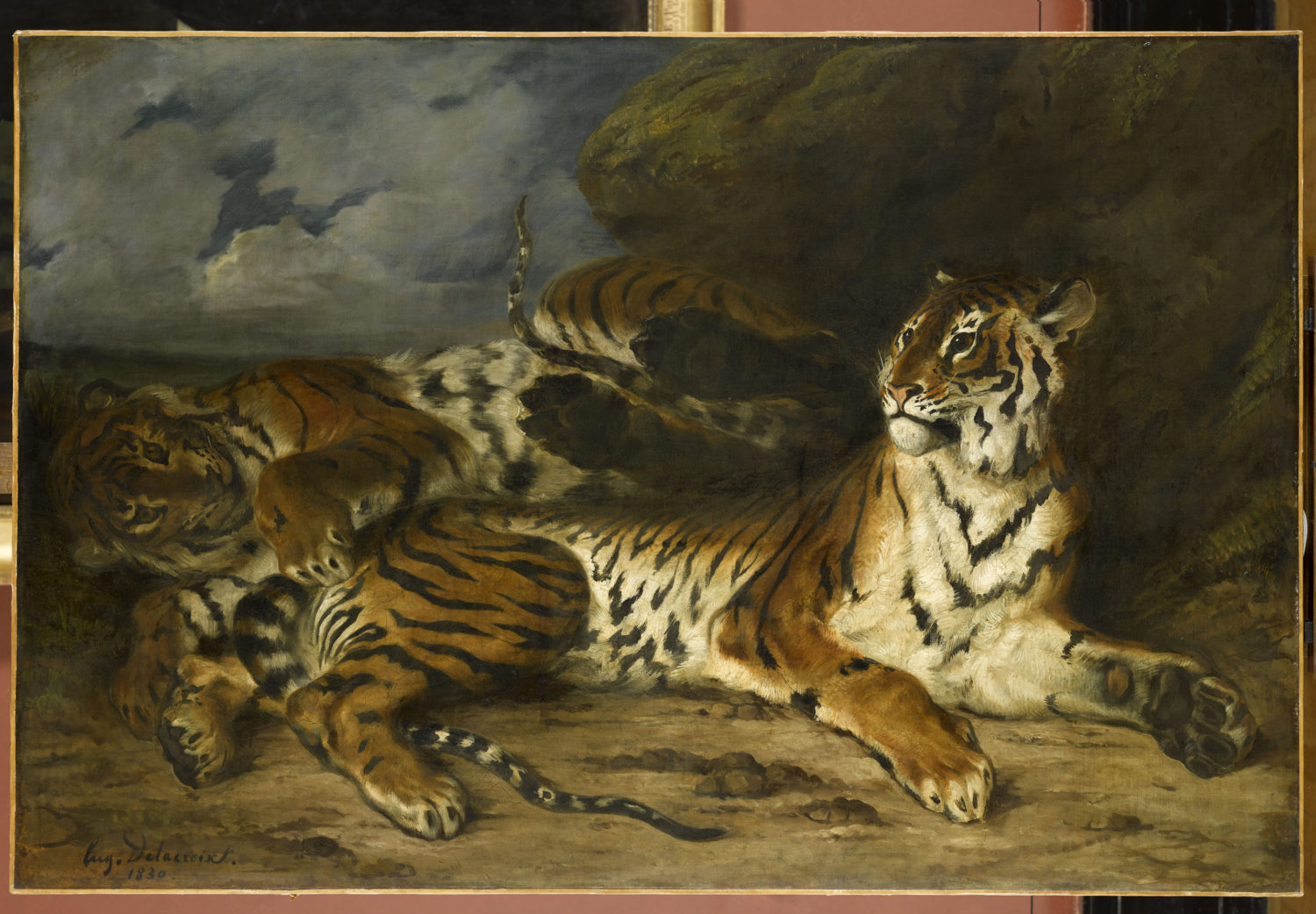 Etude de deux tigres, ou Jeune tigre jouant avec sa mère © RMN-Grand Palais (musée du Louvre) / Franck Raux