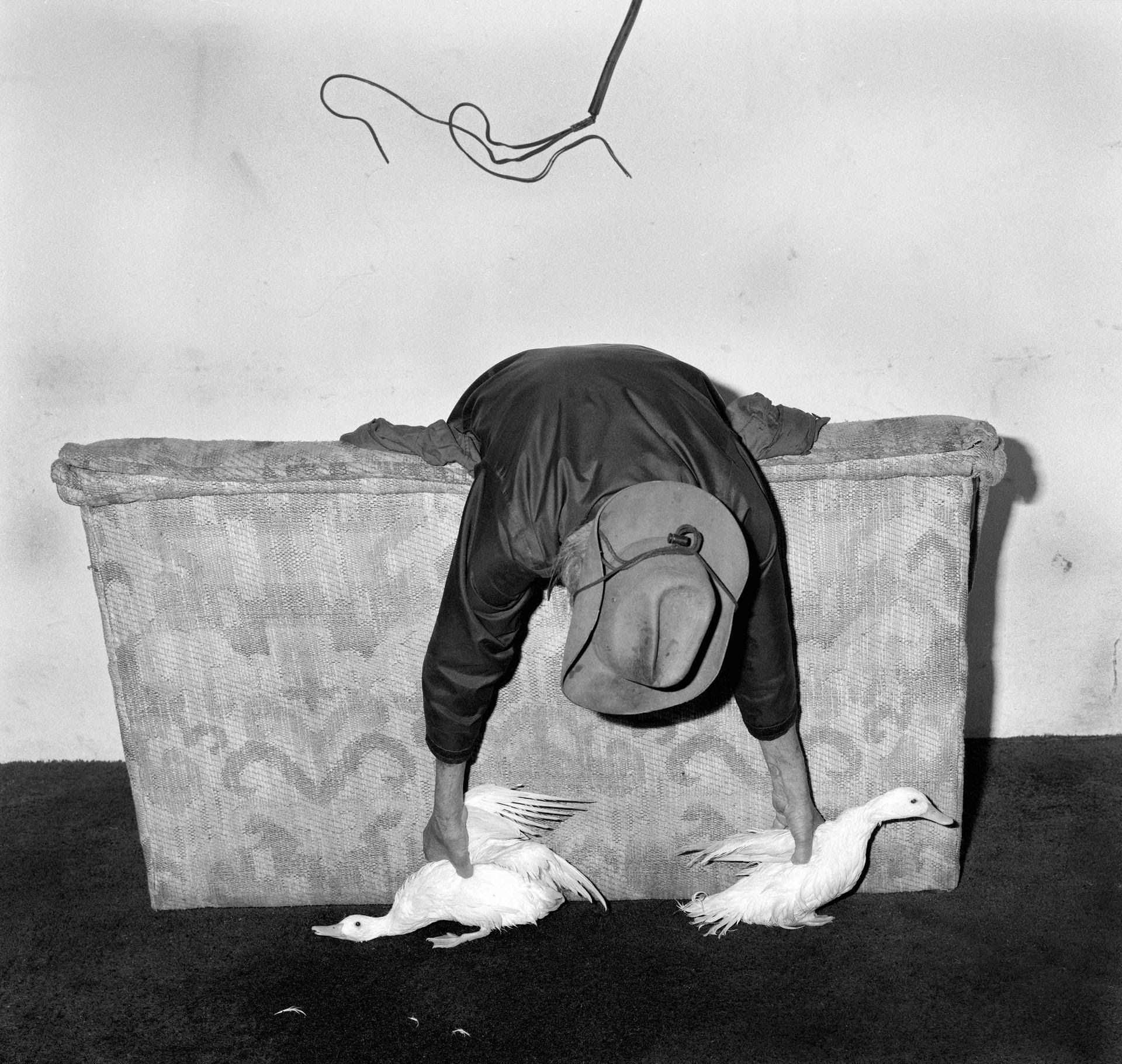 mostra-fotografica-ancona---senigallia--roger-ballen.-the-place-of-the-upside-down---immagini-mostra-fotografica-ancona---senigallia--roger-ballen_(3).jpg