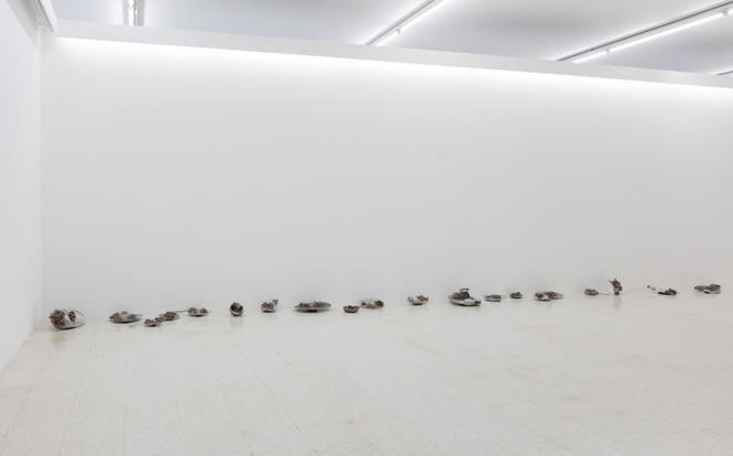 mostra-ancona----senigallia---being-there.-oltre-il-giardino---immagini-11)_Claudia_Losi,_Cose_che_sono_cose,_2015_.jpg
