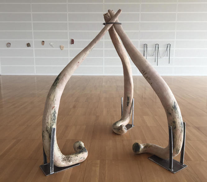 mostra-ancona----senigallia---being-there.-oltre-il-giardino---immagini-7)_Claudia_Losi,_Ossi,_2019.JPG