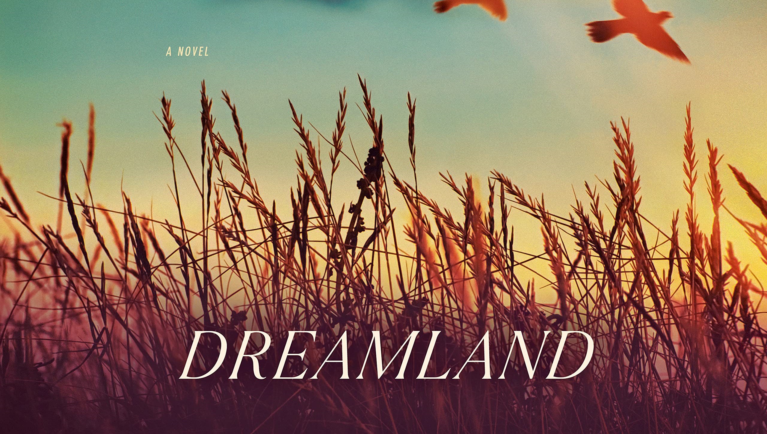 Libri da leggere, Dreamland di Nicholas Sparks il nuovo romanzo in uscita