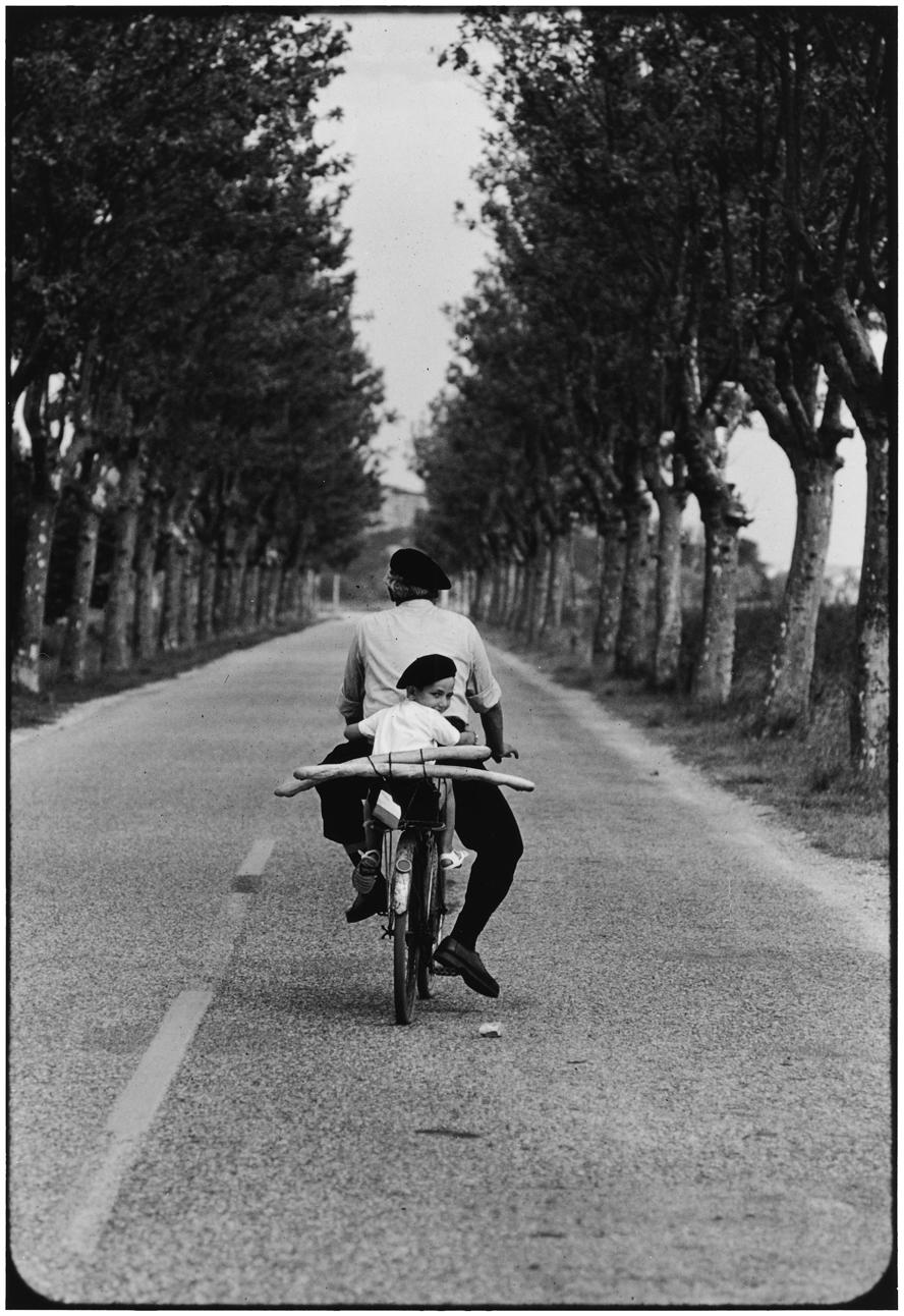 mostra-ancona----senigallia---icons-di-elliott-erwitt---immagini-FRANCE,_Provence._1955._©Elliott_Erwitt.jpg