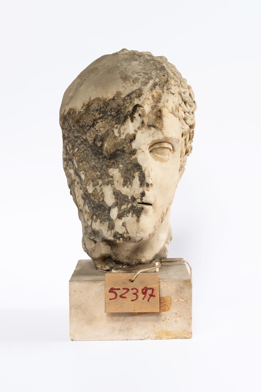 mostra-roma---terme-di-diocleziano---le-forme-del-tempo-----immagini-WEB_MuseoNazionaleRomano_TermeDiocleziano_52397_Testa_frammentaria_del_cosiddetto_Diomede_Provenienza_ignota_II_secolo_dC.jpg