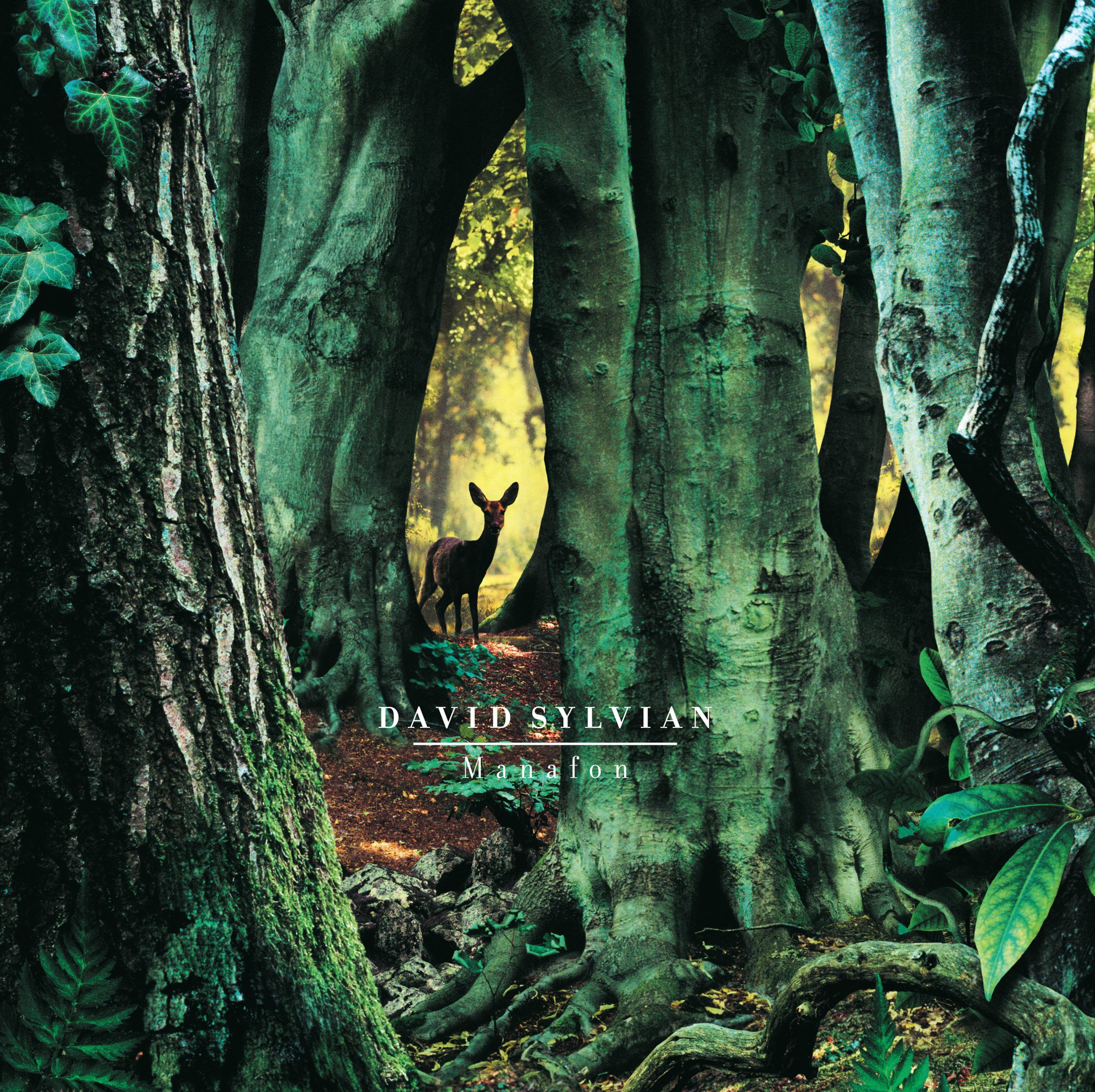 david-sylvian-album-e-tour---immagini-SYLVIANDAVIDmanafon.jpg