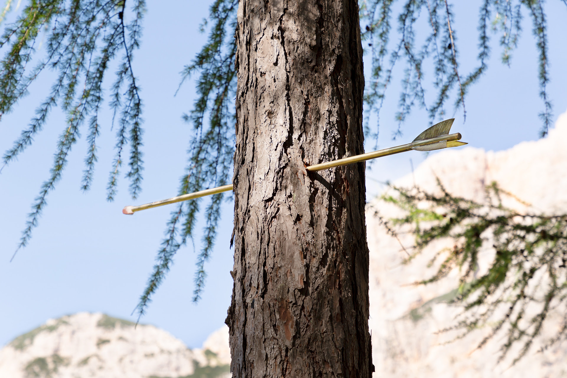 Mostra Belluno - Cortina d'Ampezzo - I Giardini di Artemide - immagini