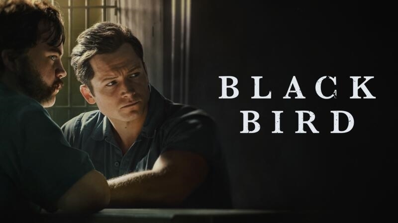 Serie tv  Black Bird - video