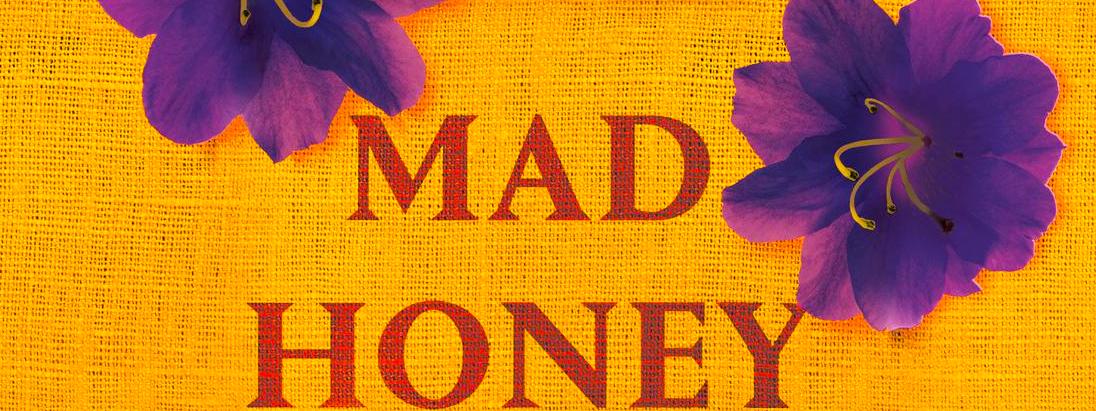 Libro Mad Honey in uscita, il nuovo romanzo della scrittrice bestseller Jodi Picould