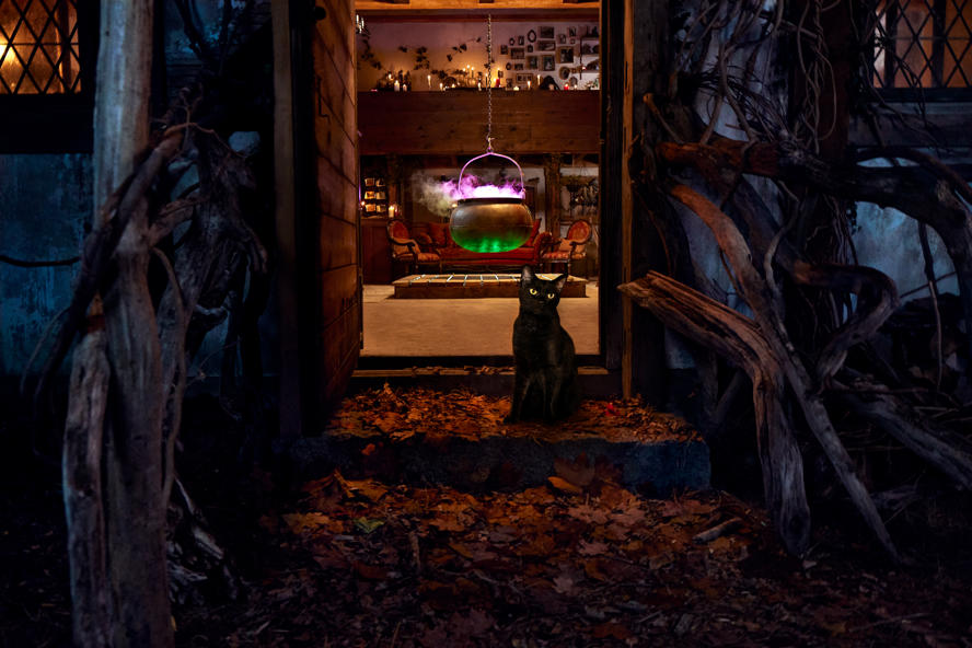turismo---salem---massachusetts----immagini-Hocus_Pocus_Airbnb_06_-_Entrance_-_Credit_Helynn_Ospina.jpg
