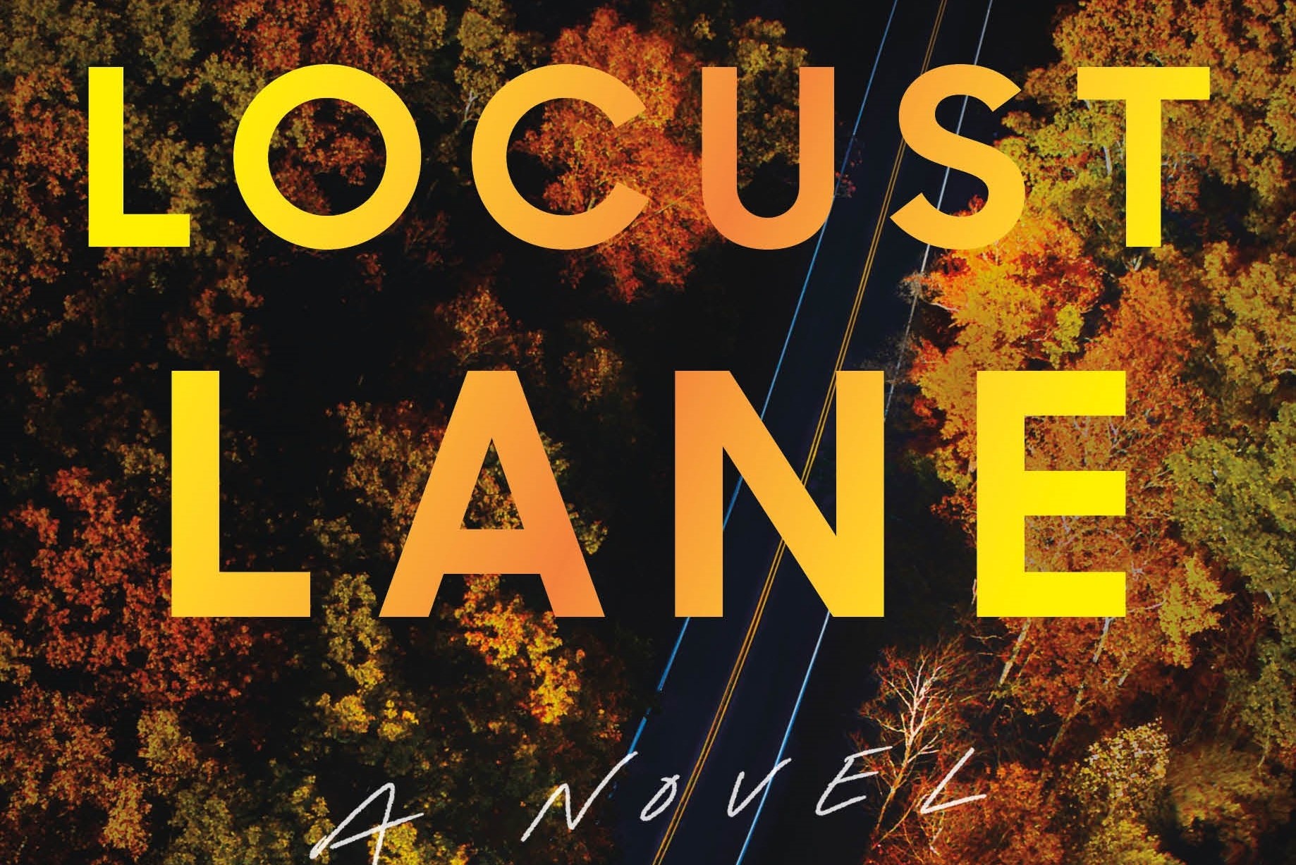 Libro Locust Lane, il romanzo di  Stephen Amidon: il volto crudele di un tranquillo sobborgo