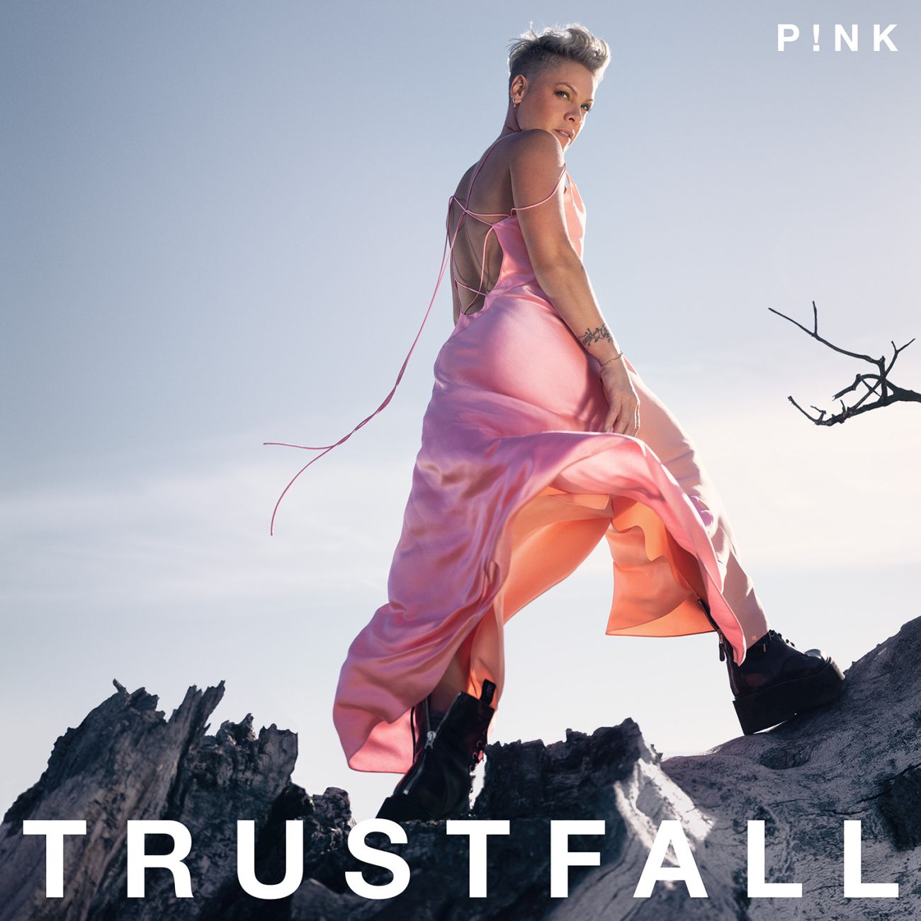pink-album-e-tour---immagini-P!NK_TRUSTFALL_COVER_1500px_RGB_b.jpg