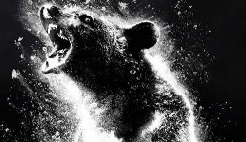 Film Cocaine Bear - Cocainorso - video