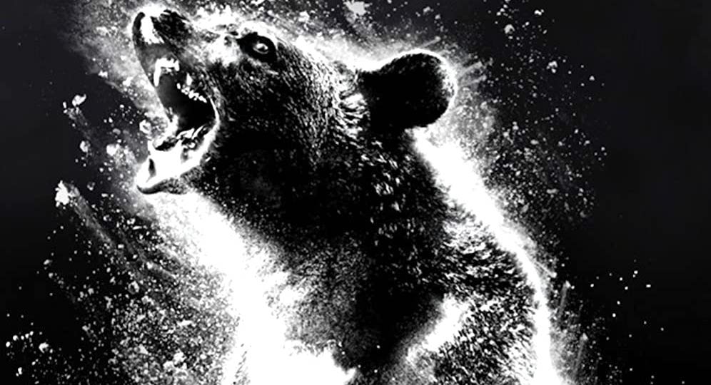 Film più visti della settimana: 'Cocaine Bear' e 'Jesus Revolution' sono le novità