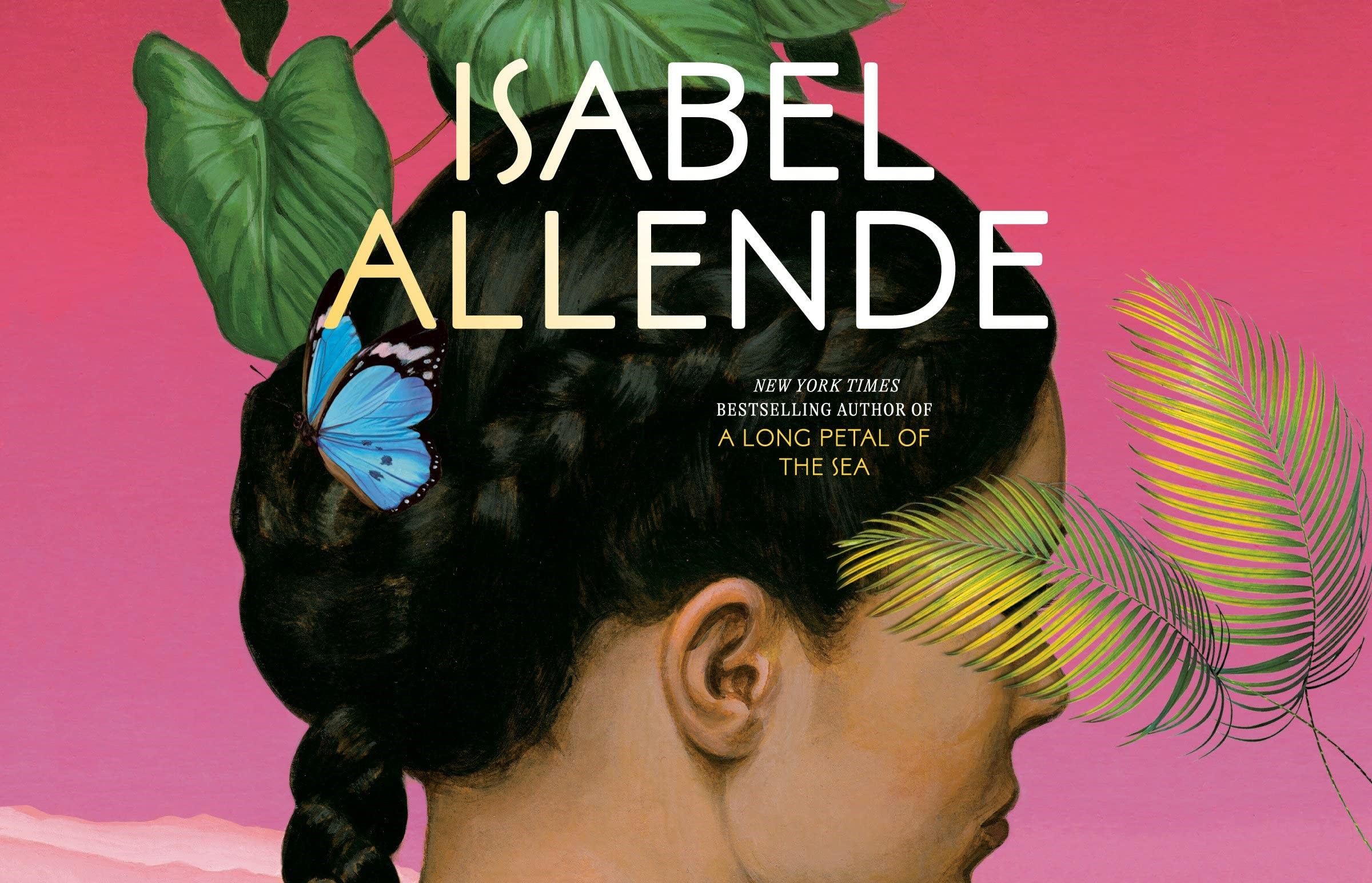 Libro The Wind Knows My Name, il romanzo di Isabel Allende: trama e uscita