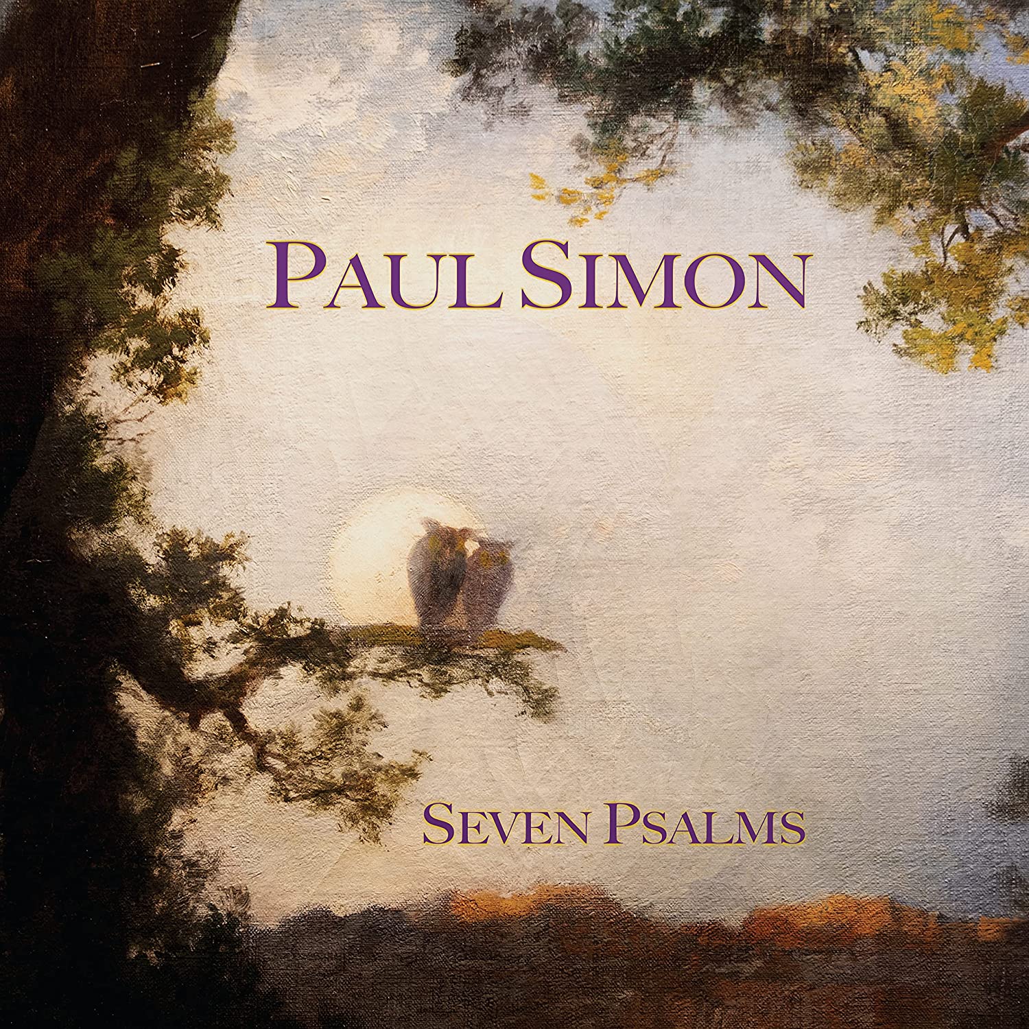 Paul Simon nuovo album e tour - immagini