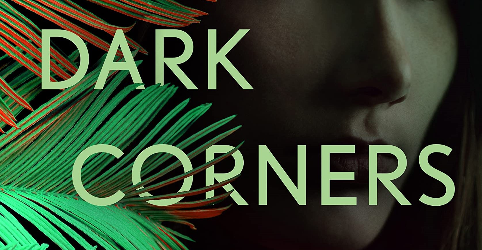 Libro Dark Corners, il nuovo romanzo thiller di Megan Goldin: trama e uscita