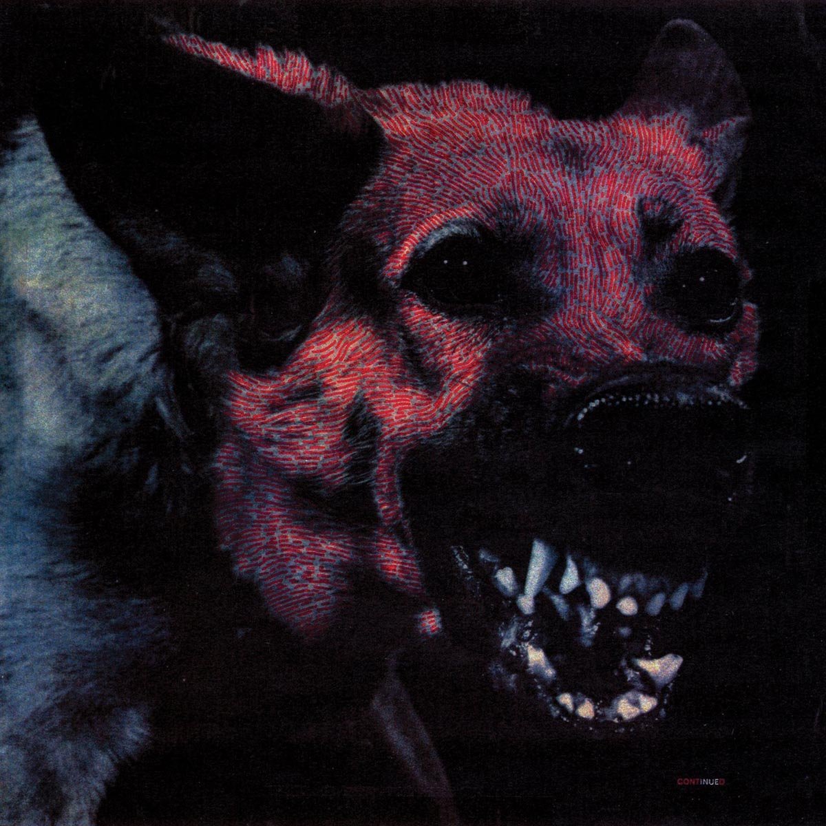 protomartyr-nuovo-album-e-tour---immagini-protomartyr-nuovo-album-e-tour---immagini_(2).jpg