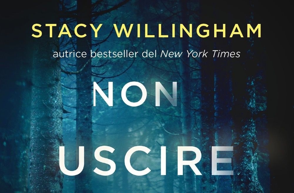 Libro Non uscire nella notte, il romanzo thriller dell'autrice bestseller Stacy Willingham