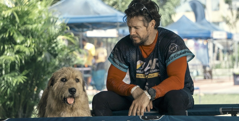 Arthur the king, le curiosità sul film con Mark Wahlberg