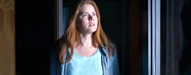 Nightbitch, le novità sul film drama con Amy Adams