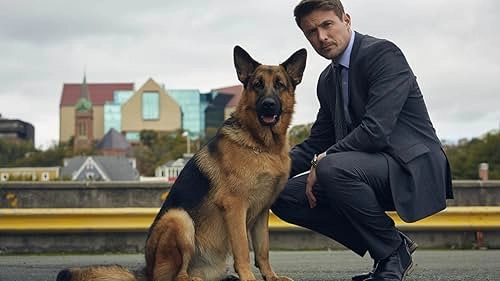 Serie tv Hudson & Rex annunciata la stagione 7: trama e anticipazioni