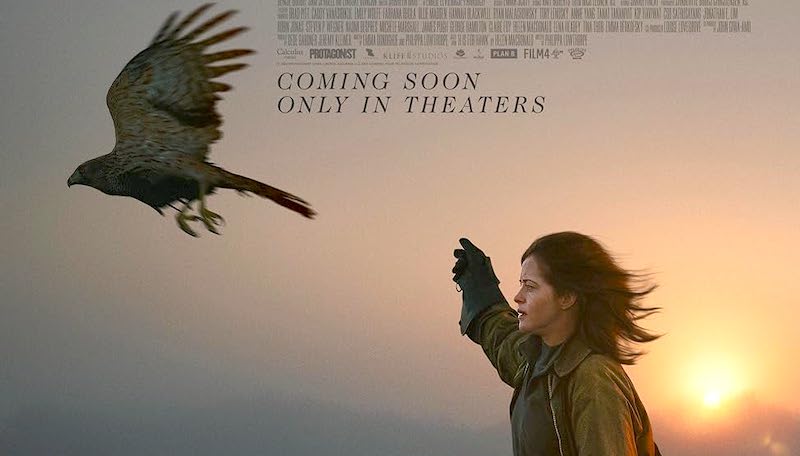 Film drama H Is for Hawk, superare il lutto con Claire Foy e Brendan Gleeson