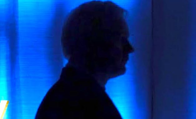 Film The Six Billion Dollar Man, i segreti di Julian Assange