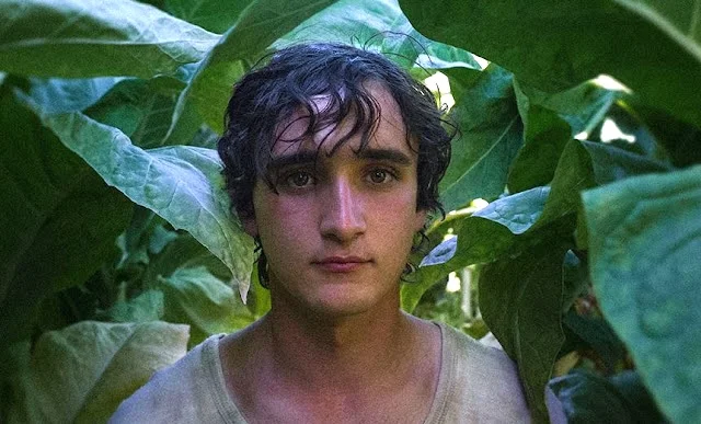 L'evoluzione dell'arte digitale nel cinema italiano contemporaneo