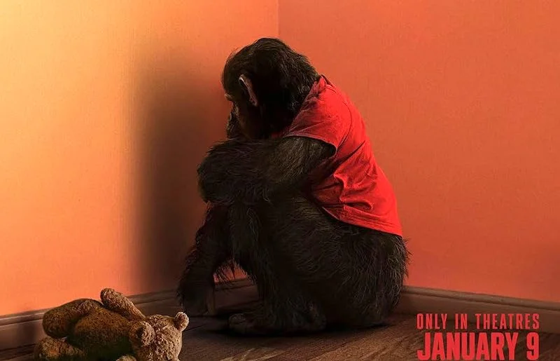 Box office film più visti, Primate e Greenland 2: Migration sono le novità