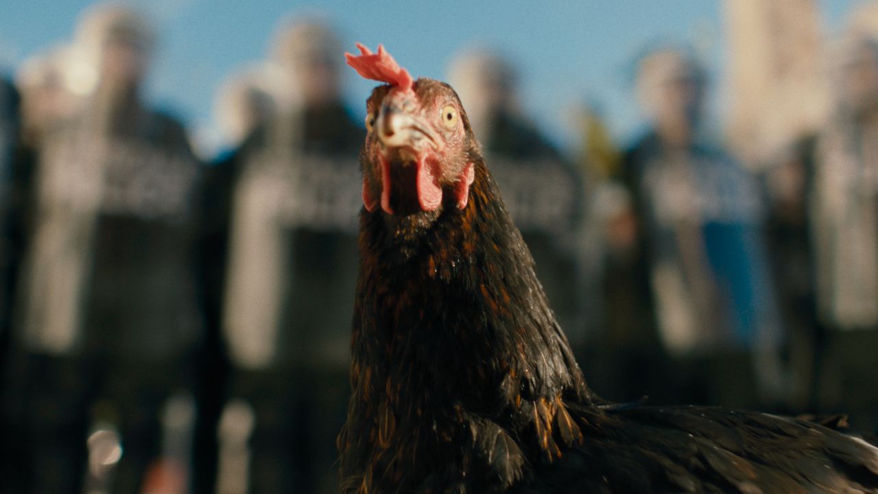 HEN - Storia di una gallina tra sperimentazione e racconto: una metafora sulle disuguaglianze