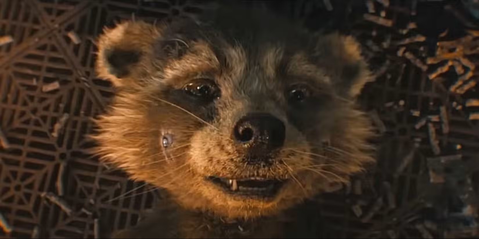 Questi film con Bradley Cooper hanno rivoluzionato il cinema di fantascienza