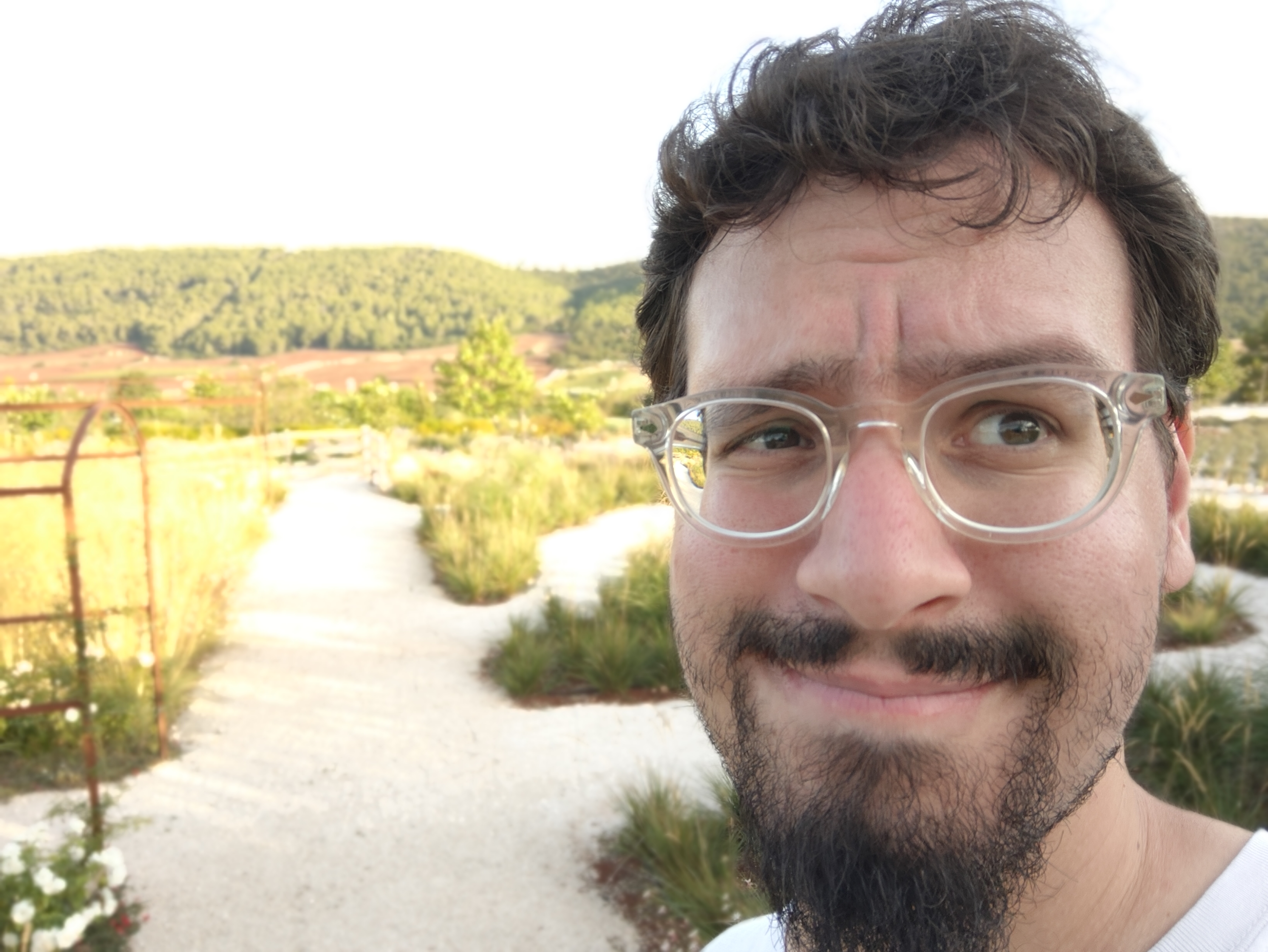 Andrea Palazzolo